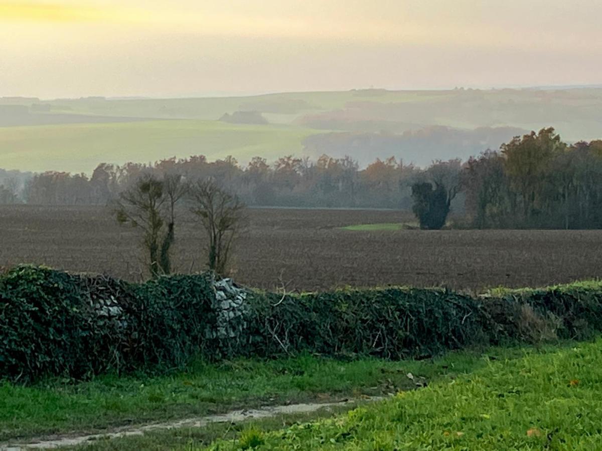 Voyage… Villa Noyers-sur-Serein Buitenkant foto